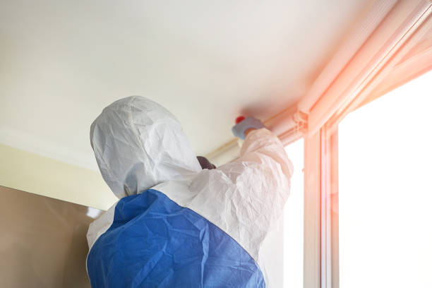  Plumsteadville, PA Mold Removal Pros